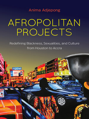 cover image of Afropolitan Projects